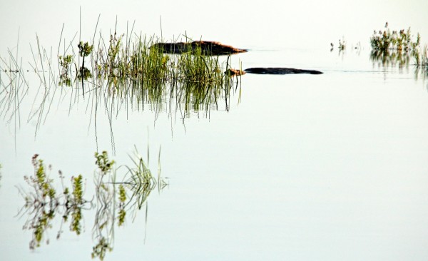 Its the Simple Things by Deb Oppermann